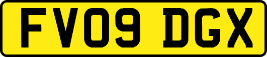 FV09DGX