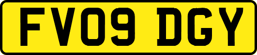 FV09DGY
