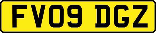 FV09DGZ