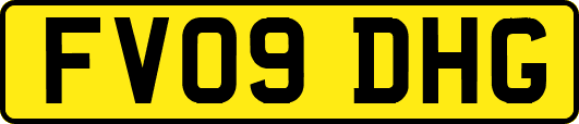 FV09DHG