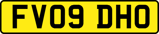 FV09DHO