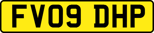 FV09DHP