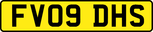 FV09DHS
