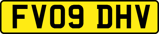 FV09DHV