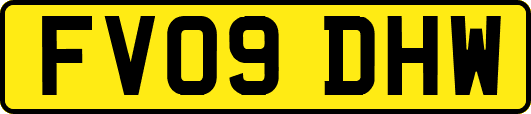 FV09DHW