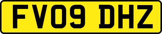 FV09DHZ