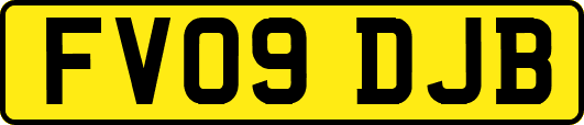 FV09DJB