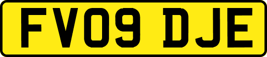 FV09DJE