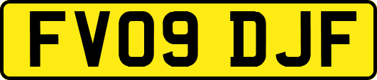 FV09DJF