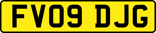 FV09DJG
