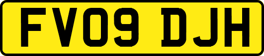 FV09DJH