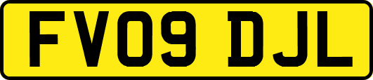 FV09DJL