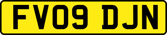 FV09DJN