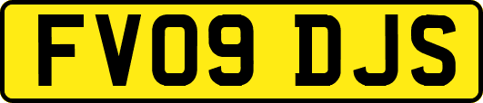FV09DJS