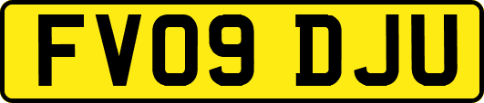 FV09DJU