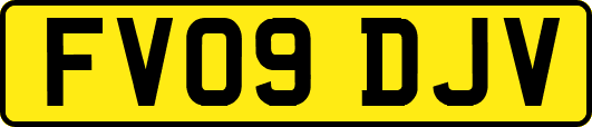 FV09DJV
