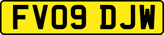 FV09DJW