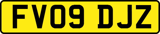 FV09DJZ
