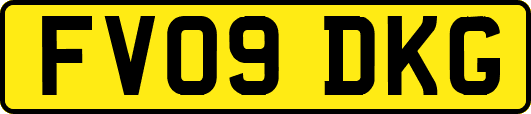 FV09DKG