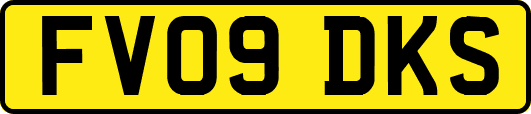 FV09DKS
