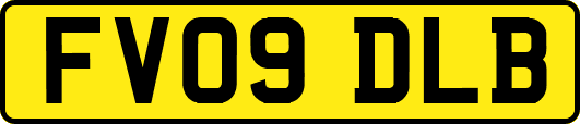 FV09DLB