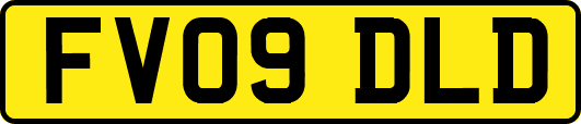 FV09DLD