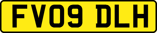 FV09DLH