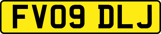 FV09DLJ
