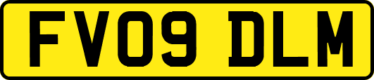FV09DLM