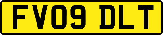 FV09DLT