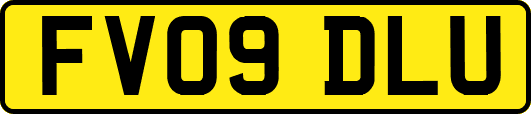 FV09DLU