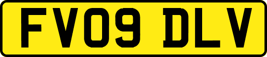 FV09DLV