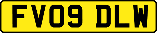 FV09DLW