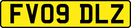 FV09DLZ