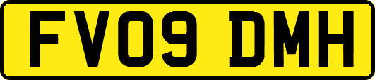 FV09DMH