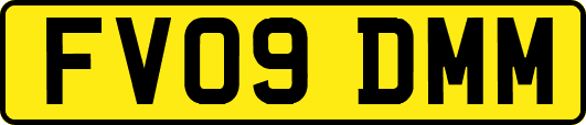 FV09DMM