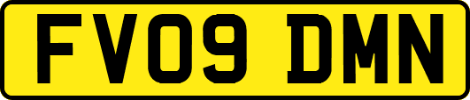 FV09DMN