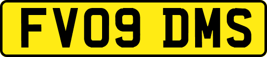 FV09DMS