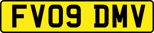 FV09DMV