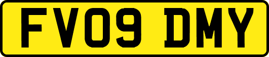 FV09DMY