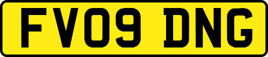 FV09DNG