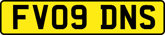 FV09DNS