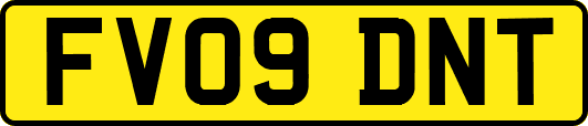 FV09DNT