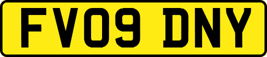 FV09DNY