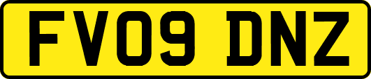 FV09DNZ