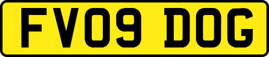 FV09DOG