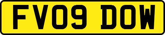 FV09DOW