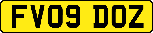 FV09DOZ
