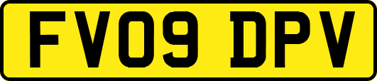 FV09DPV