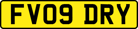FV09DRY